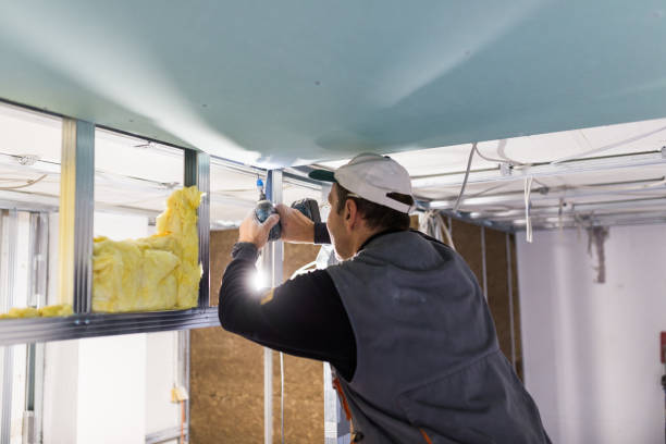 Best Wall Insulation Installation  in Elsa, TX