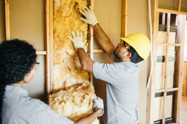 Best Fireproof Insulation  in Elsa, TX