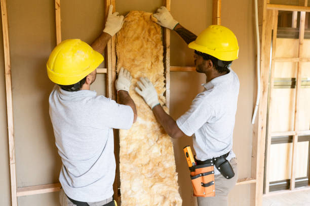 Best Attic Insulation Installation  in Elsa, TX