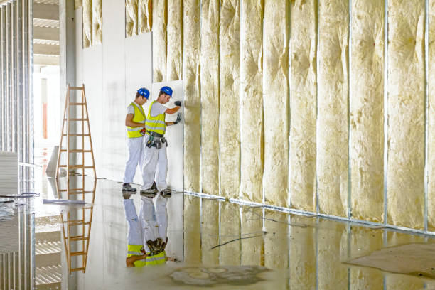 Best Spray Foam Insulation  in Elsa, TX